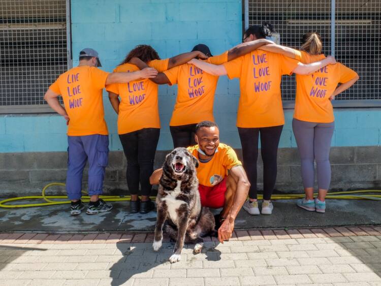 Adottare è accogliere: i nuovi dog sitter di “Buddies” per una campagna di sensibilizzazione